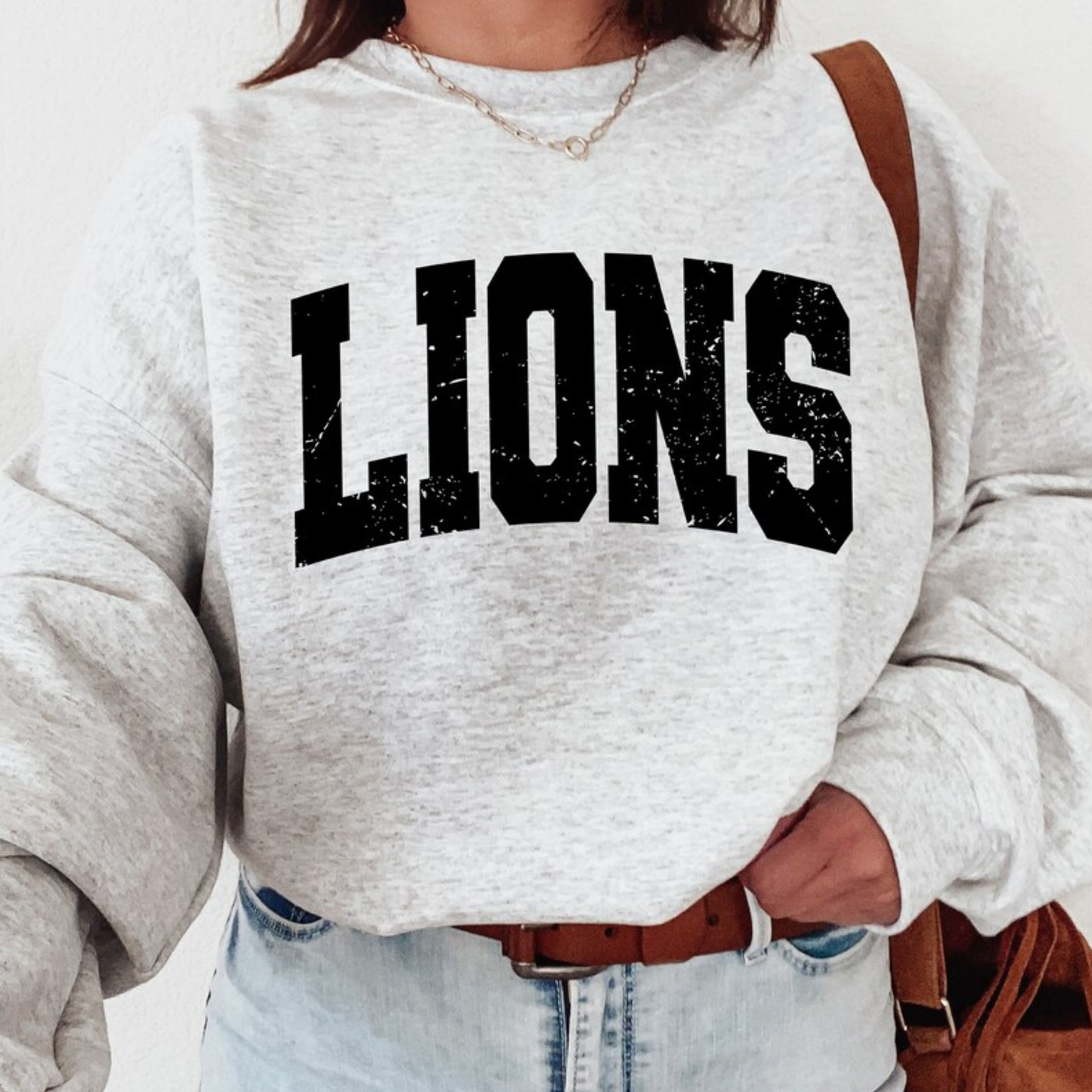 MV: Lions University