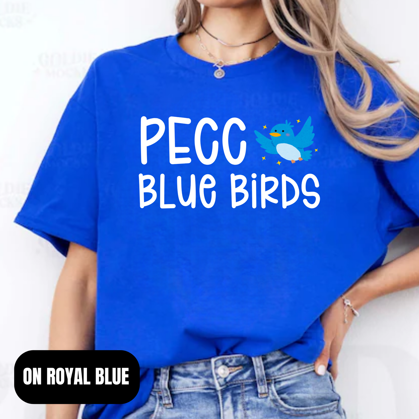PECC Blue Birds